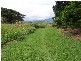 Mossman QLD 4873