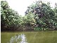 Mossman QLD 4873