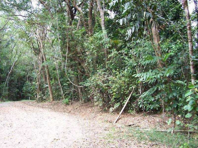 Cape Tribulation QLD 4873