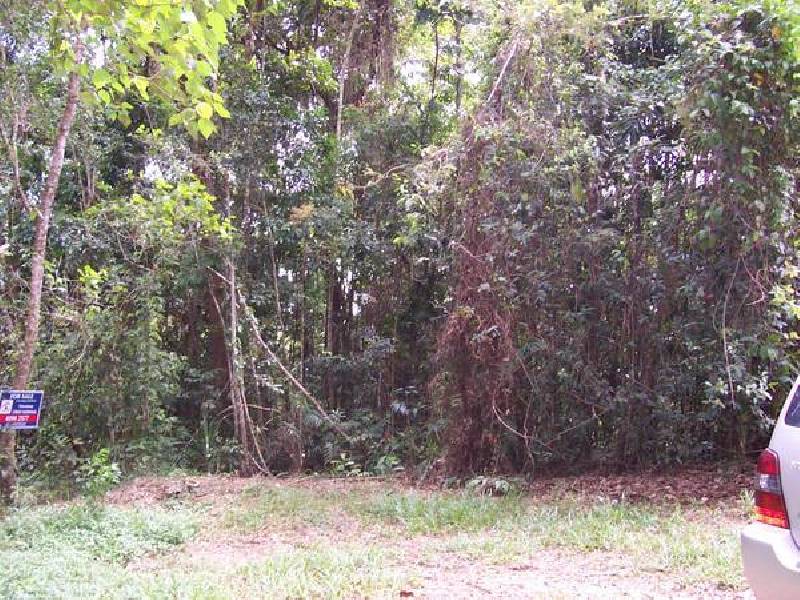 Cape Tribulation QLD 4873