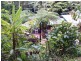 Cow Bay QLD 4873