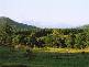 Mossman QLD 4873