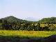 Mossman QLD 4873