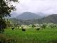 Mossman QLD 4873