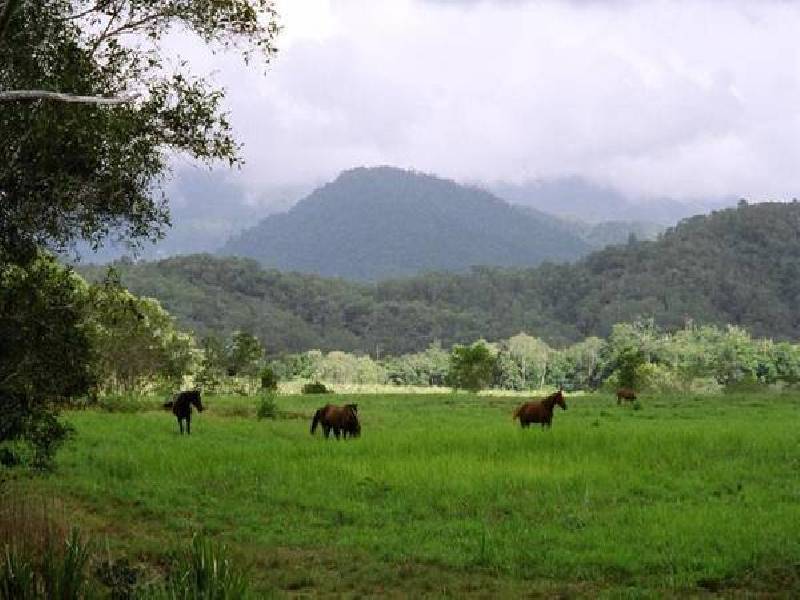 Mossman QLD 4873