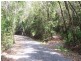 Forest Creek QLD 4873