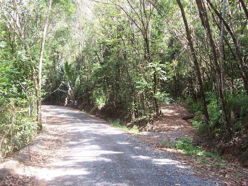 Forest Creek QLD 4873