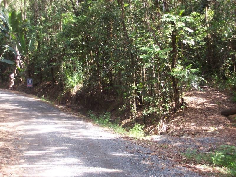 Forest Creek QLD 4873