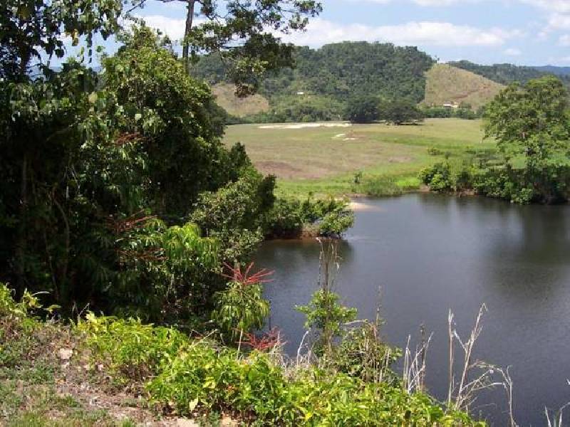 Daintree QLD 4873
