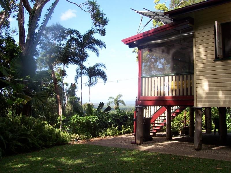 Daintree QLD 4873
