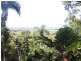 Daintree QLD 4873