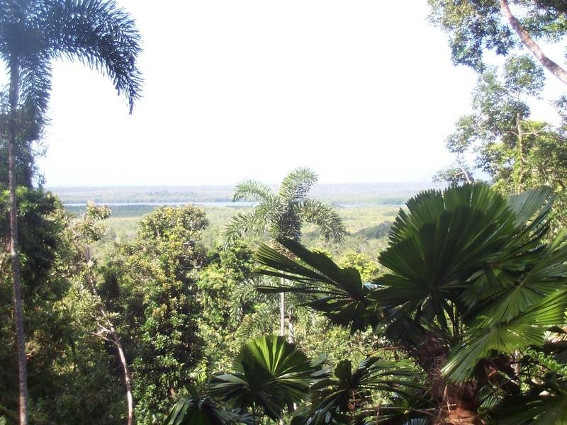 Daintree QLD 4873