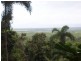 Daintree QLD 4873