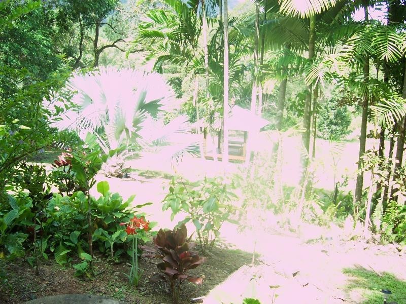 Forest Creek QLD 4873