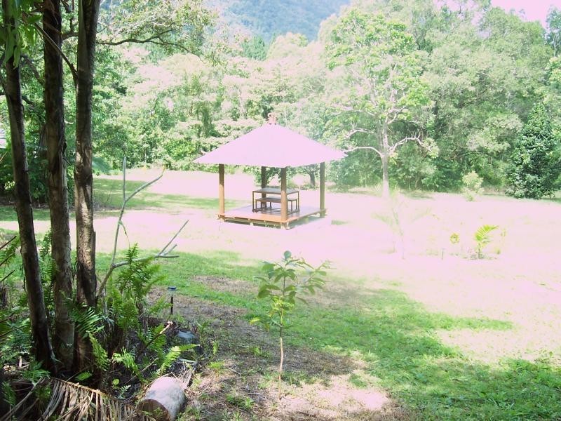 Forest Creek QLD 4873