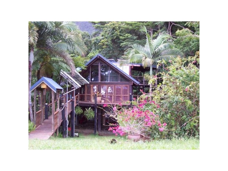 Cape Tribulation QLD 4873