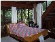 Cape Tribulation QLD 4873
