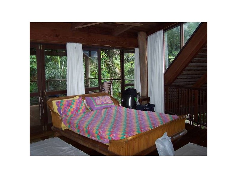 Cape Tribulation QLD 4873