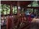 Cape Tribulation QLD 4873