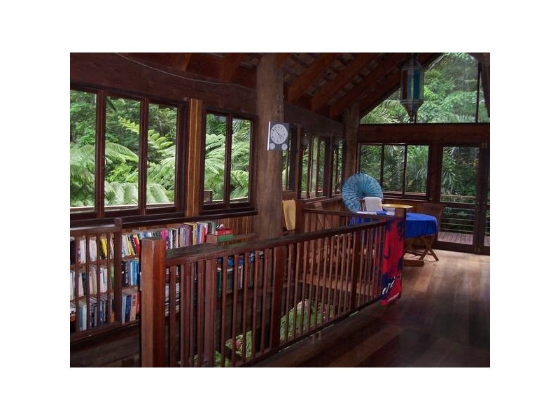Cape Tribulation QLD 4873
