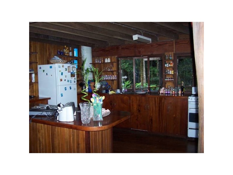Cape Tribulation QLD 4873