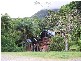 Cape Tribulation QLD 4873