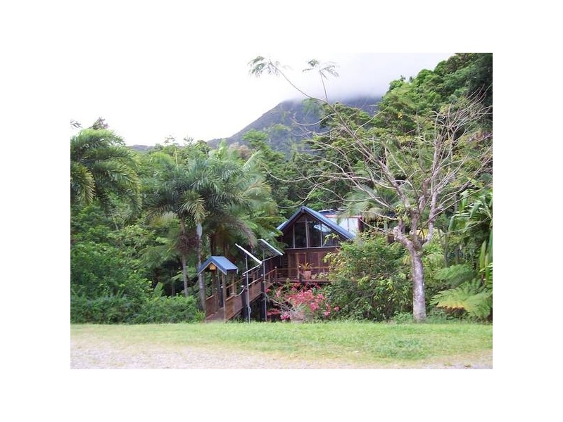 Cape Tribulation QLD 4873