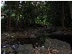 Cape Tribulation QLD 4873