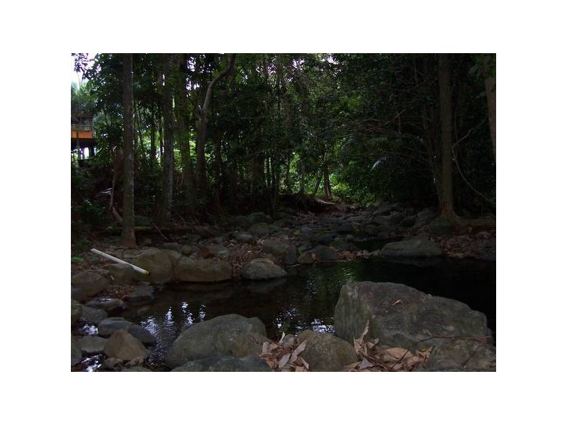 Cape Tribulation QLD 4873