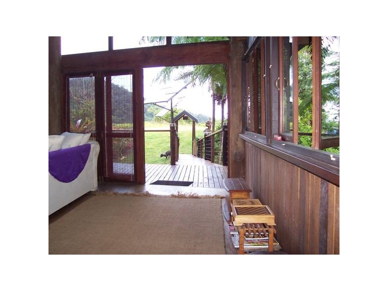Cape Tribulation QLD 4873