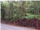 Forest Creek QLD 4873