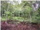 Forest Creek QLD 4873