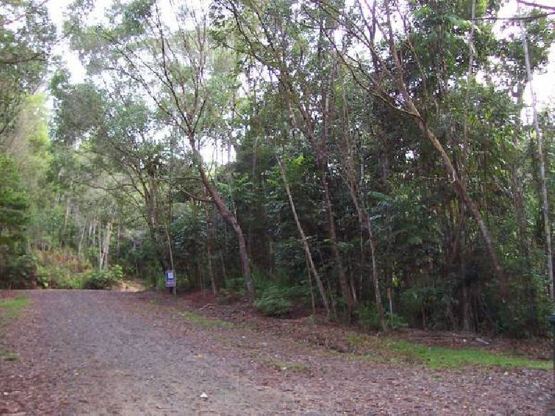 Forest Creek QLD 4873
