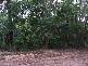 Forest Creek QLD 4873