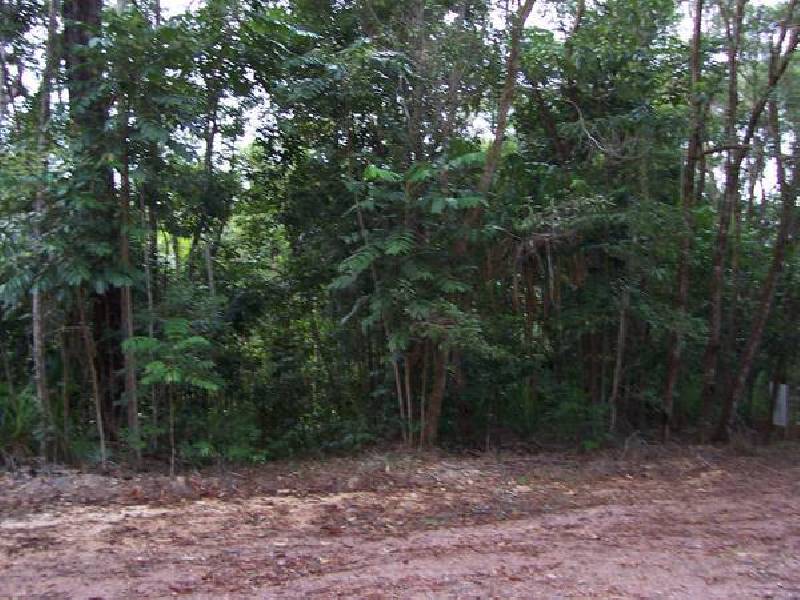 Forest Creek QLD 4873