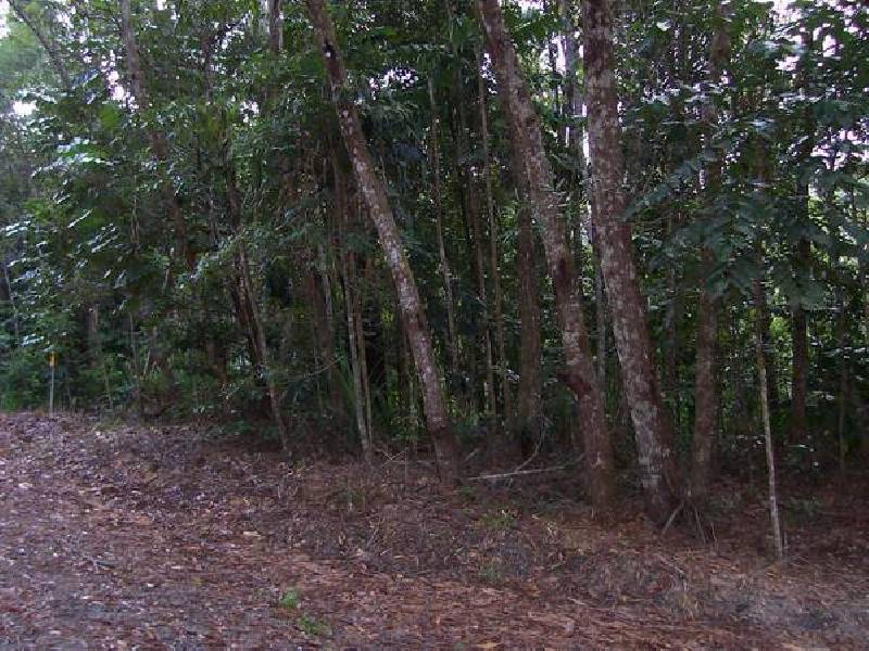 Forest Creek QLD 4873