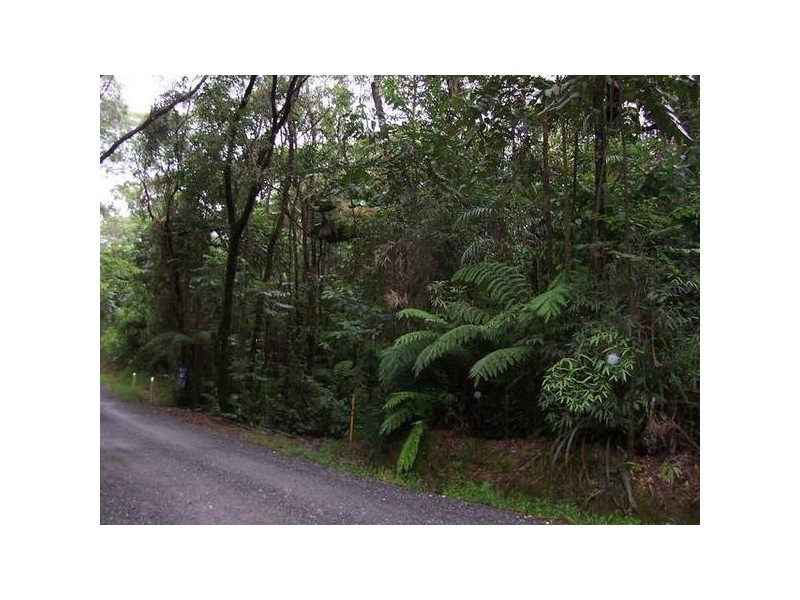 Forest Creek QLD 4873