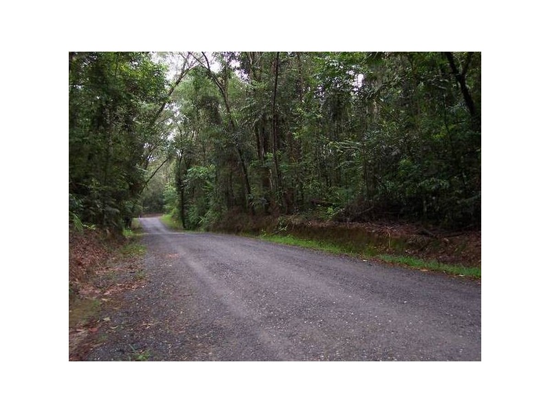 Forest Creek QLD 4873