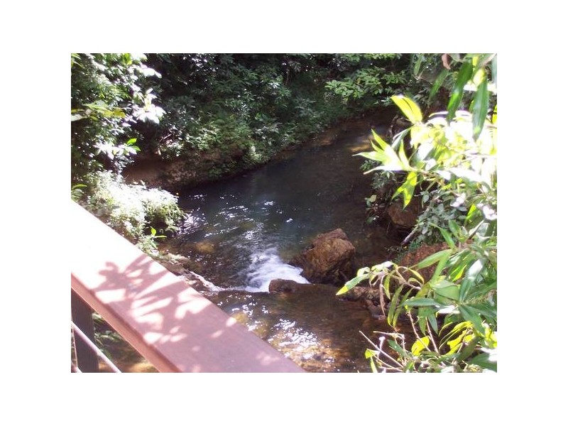 Cow Bay QLD 4873