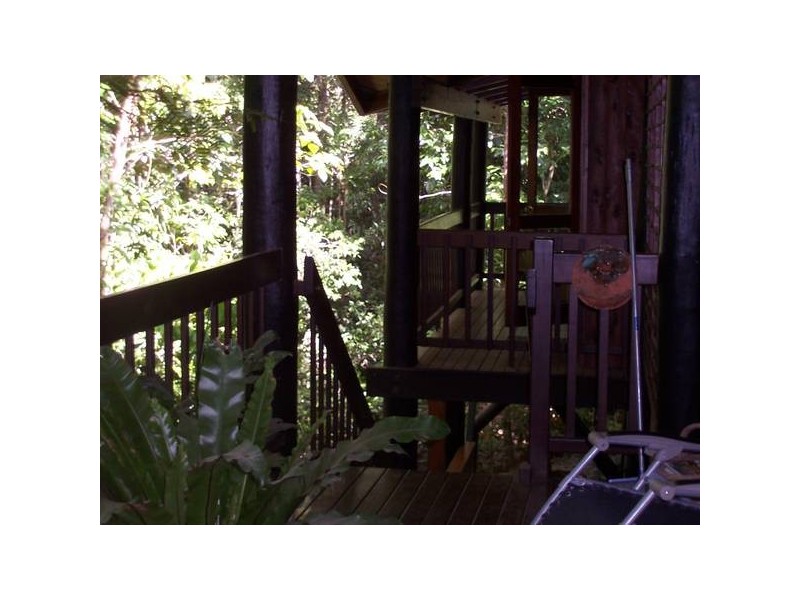 Cow Bay QLD 4873