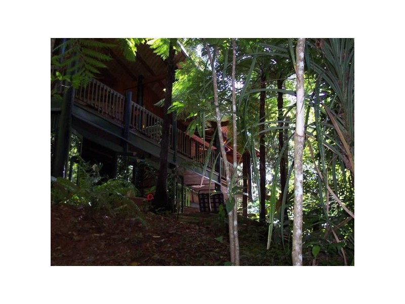 Cow Bay QLD 4873