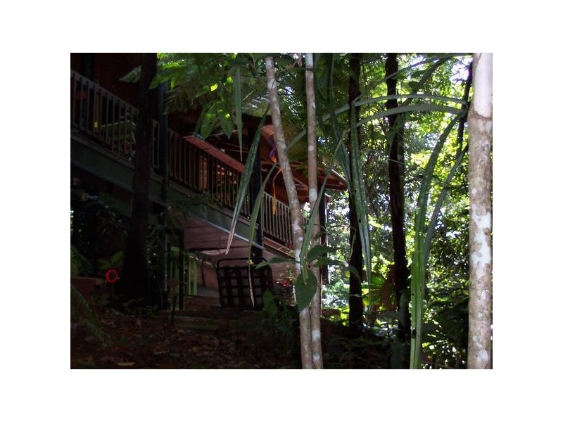 Cow Bay QLD 4873