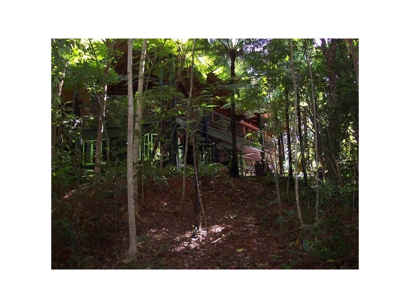 Cow Bay QLD 4873