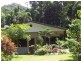 Cape Tribulation QLD 4873
