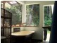 Cape Tribulation QLD 4873