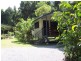 Cape Tribulation QLD 4873