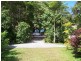 Cape Tribulation QLD 4873
