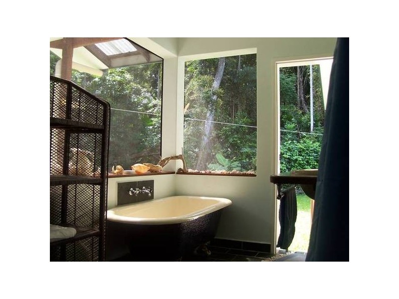 Cape Tribulation Road, Thornton Beach QLD 4873