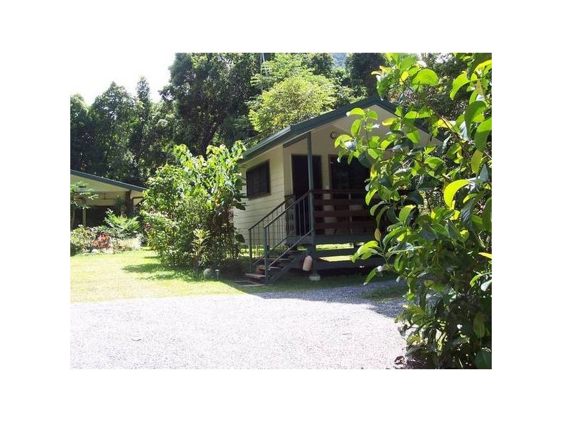 Cape Tribulation Road, Thornton Beach QLD 4873