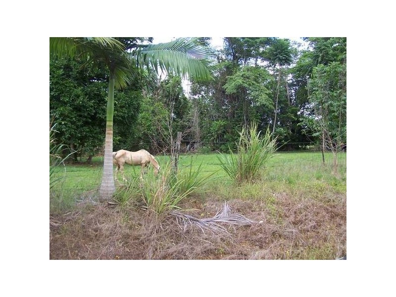 Forest Creek QLD 4873